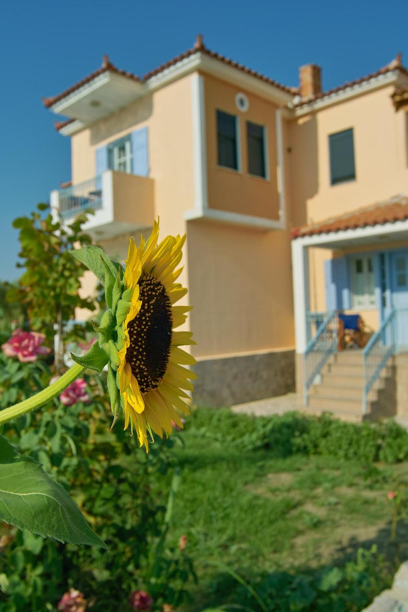 Villa Marita à Lisvori Extérieur photo