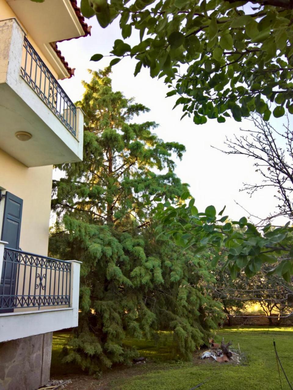 Villa Marita à Lisvori Extérieur photo