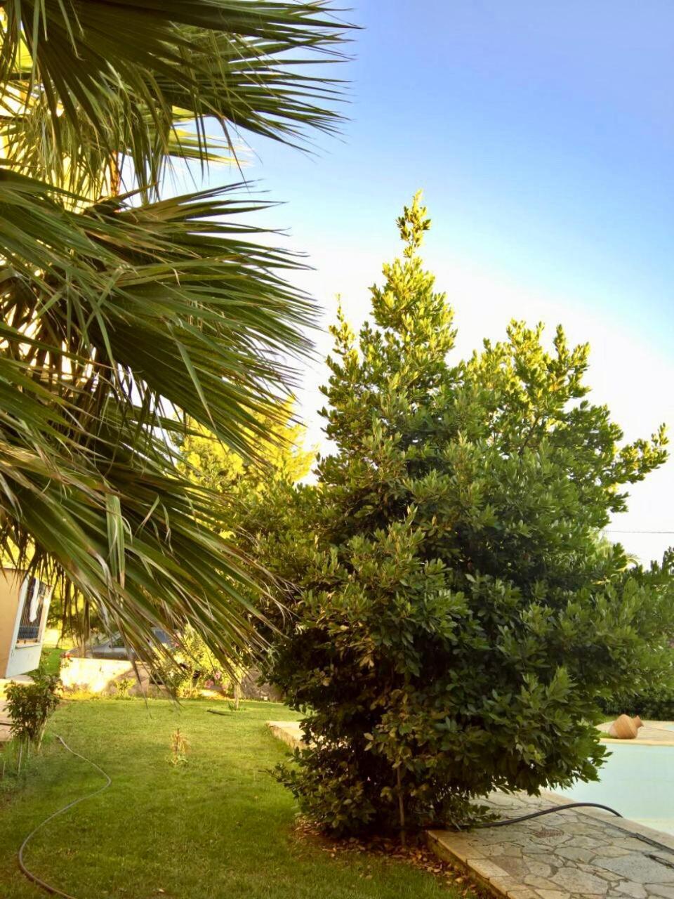 Villa Marita à Lisvori Extérieur photo