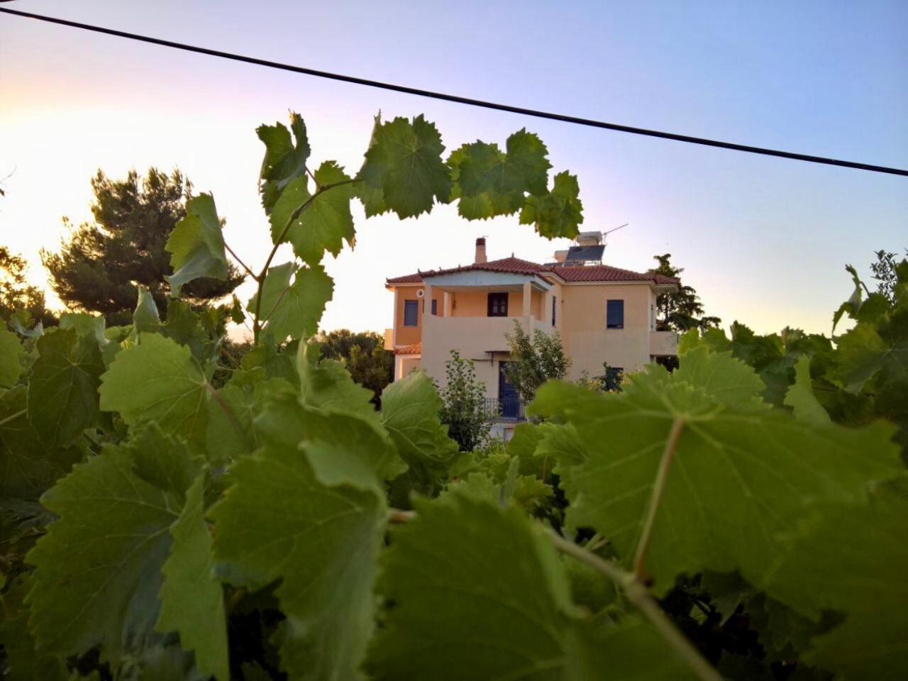 Villa Marita à Lisvori Extérieur photo