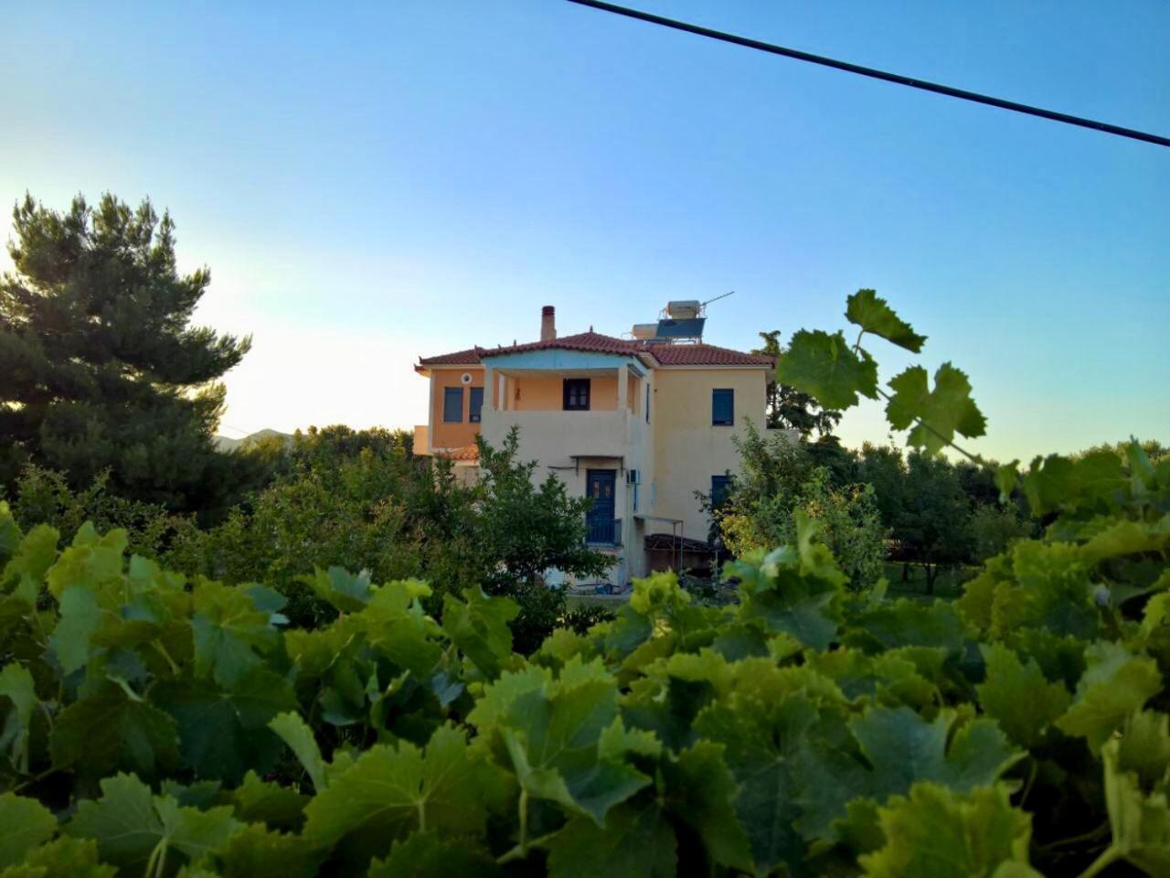 Villa Marita à Lisvori Extérieur photo